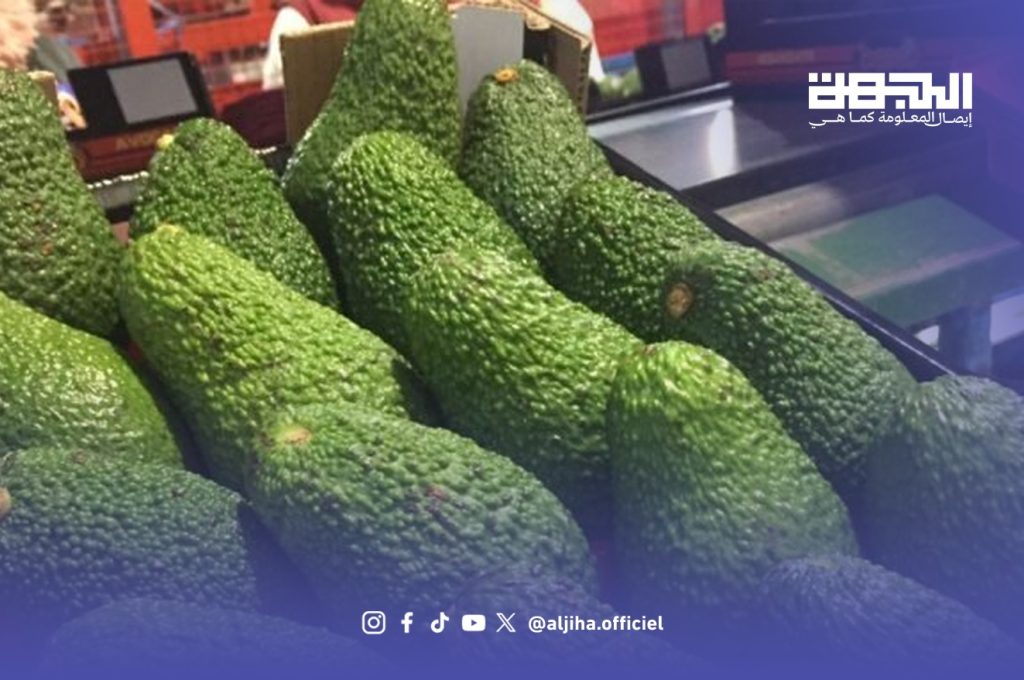 إنتاج الأفوكادو.. توقعات بـ180 ألف طن بالمغرب