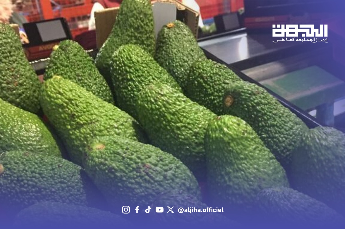 صورة توضيحية لثمار الأفوكادو، لا توثق ضيعات الموسم الحالي