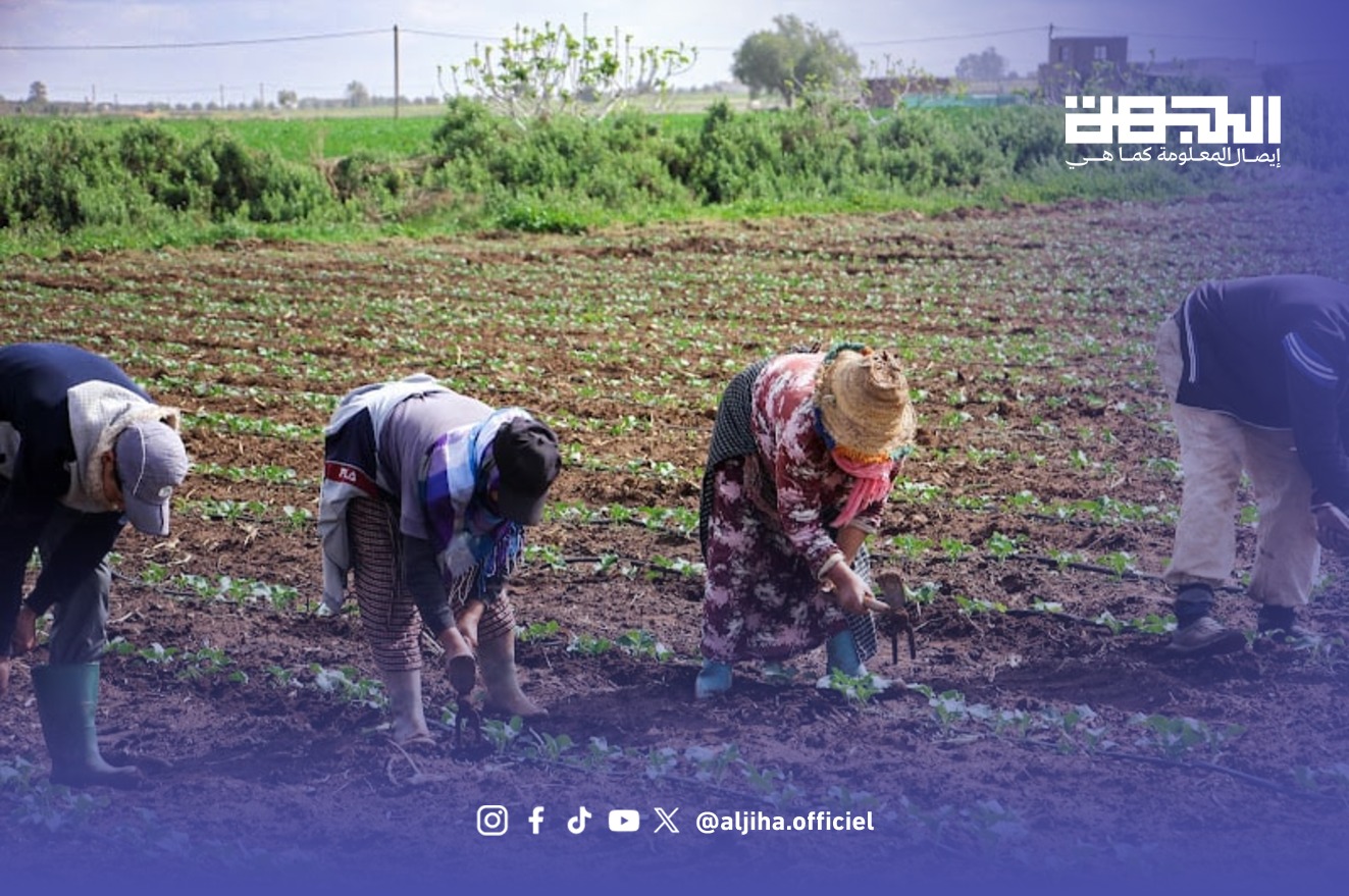 عاملات في حقل فلاحي بالمغرب - صورة أرشيفية